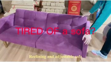 a sectional sofa bed