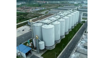 Qingke Barley Liquor