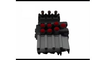 MP80-3-1-222 Multi-way Valve