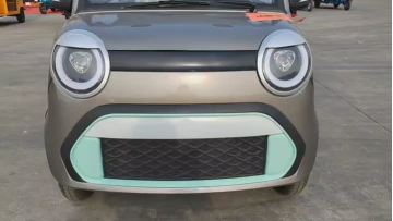 Luxury four-wheel electric vehicle with a canopy