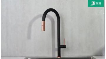 Pull Out Faucets.mp4