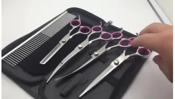 Hairdressing Scissors, Professional Salon Hair Cutting Thinning Scissors Barber Shears Hair Cutting Tools Set with Black Case, Aprille (Silver) Esg102931