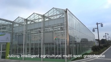 Greenhouse glass house with tiled hydroponics system vegetbales for sale1