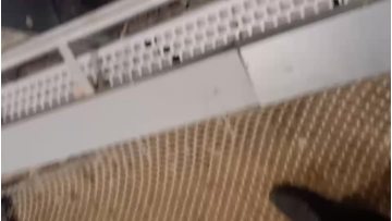 Conveyor belt