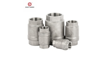 vertical check valve