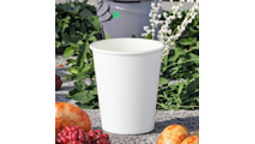 80-8oz Biodegradable Hot Drink Paper Cups with Lids Eco-Friendly Disposable Coffee Cups  Disposable Paper Cups1