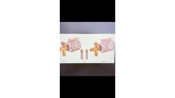 Thermostatic Expansion Valve