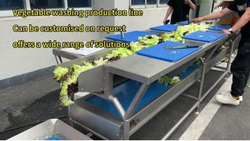 vegetable washing production line