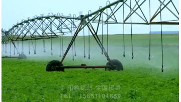 Automated Center Pivot System for Modern Irrigation Management