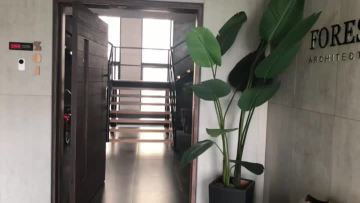 front door.mp4