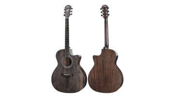 TS62 acoustic guitar