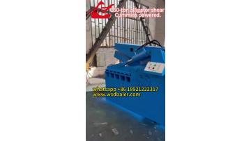 alligator shear 1