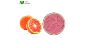 Wholesale Bulk Factory Supply Orange Juice Powder1