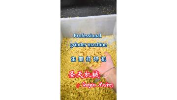 Professional 100L food crusher machine