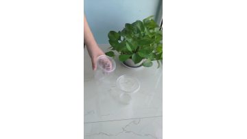 16oz Clear, Recyclable PET Cups