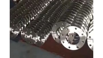 ss flange