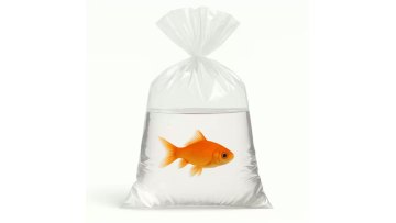 Live Fish Shipping Bags