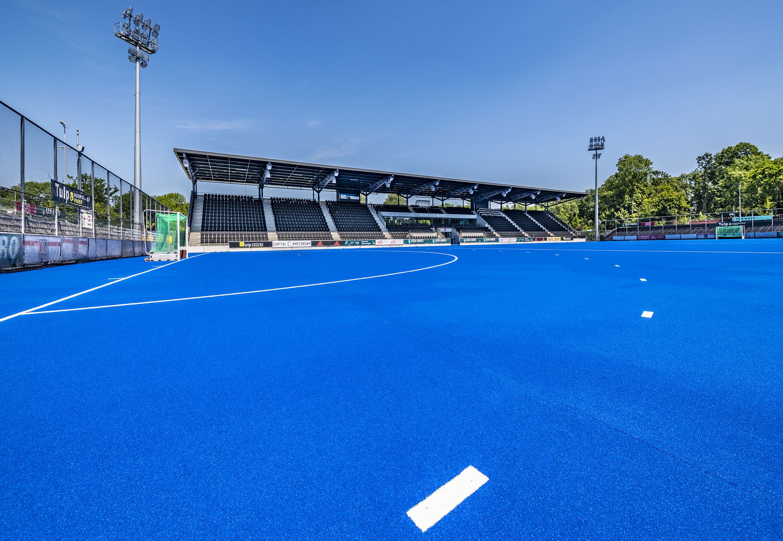 NL hockey artificial turf