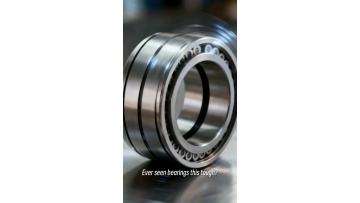 Cylindrical Roller Bearing Introduction