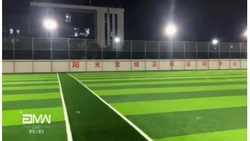 artificial grass carpet