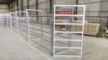 250-300 head cattle yard plans / 400 head steel cattle yard with headbail and loading ramp1