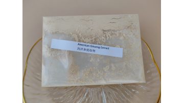 American Ginseng Extract