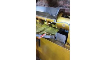 oil press machine for home