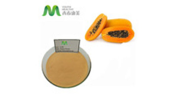Hot Selling Extract Powder From Papaya Fruit1