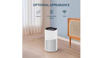 Air Purifier