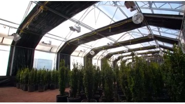 Commercial hemp medical plants light deprivation blackout greenhouses for sale1