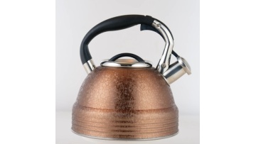 Stainless steel Ice flower coating water kettle