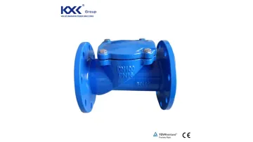 DIN Ductile Iron Di Ball Type Check Valve with Flanged Ends Check Valve1