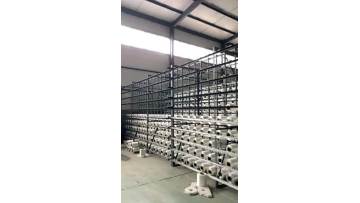 Webbing Slings Display