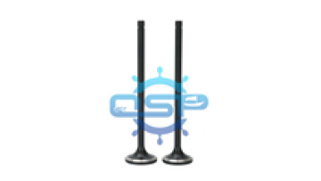 High Quality Coat Marine Engine Valves - Intake and Exhaust Valves for MAN M&W 16/24 W161111357-0395A001