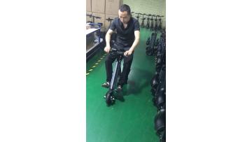 FS-18L 3 Wheel Scooter With Seat