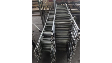 scaffold ladder