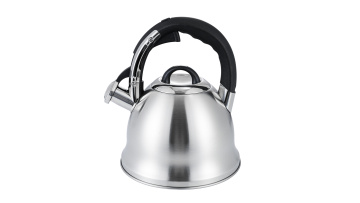 Stainless steel matte household stove top kettle FH-683