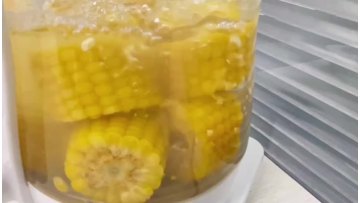 Yellow Waxy corn4