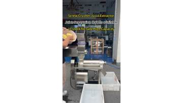 Pineapple Juicing Machine