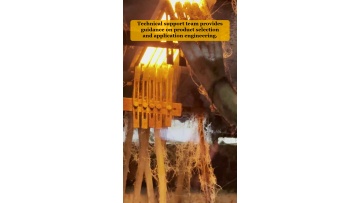 Video 11