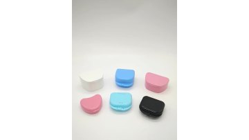 China Manufacture Plastic Denture Cleaning Box1