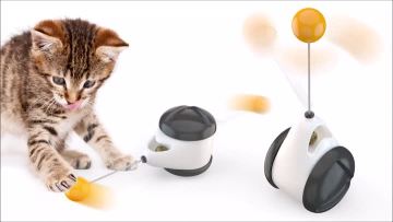 cat toy of Balanced chasing