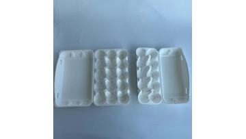bagasse pulp egg trays