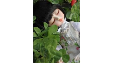 cherry castle Doll