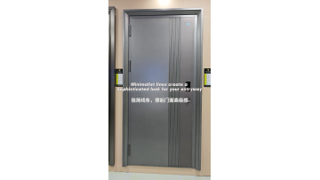 High quality entrance door