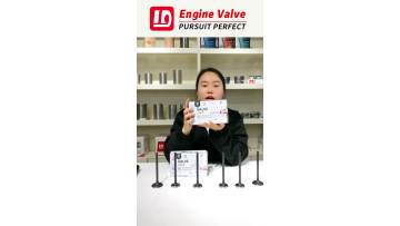 Dear customer, are you looking for quality engine valves at competitive prices?