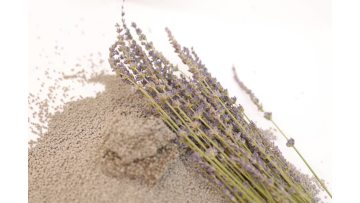 Lavender Scented Bentonite Cat Litter