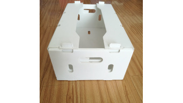 pp corrugated plastic vegetable and fruit packing box 