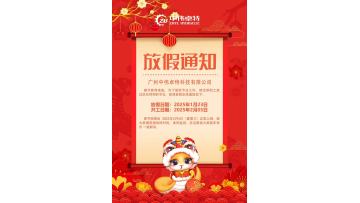 Chinese New Year Centennial Video