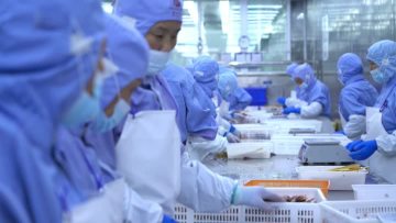 good foods product video